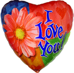 2008_5_balon1-14