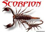 скорпион скорпион