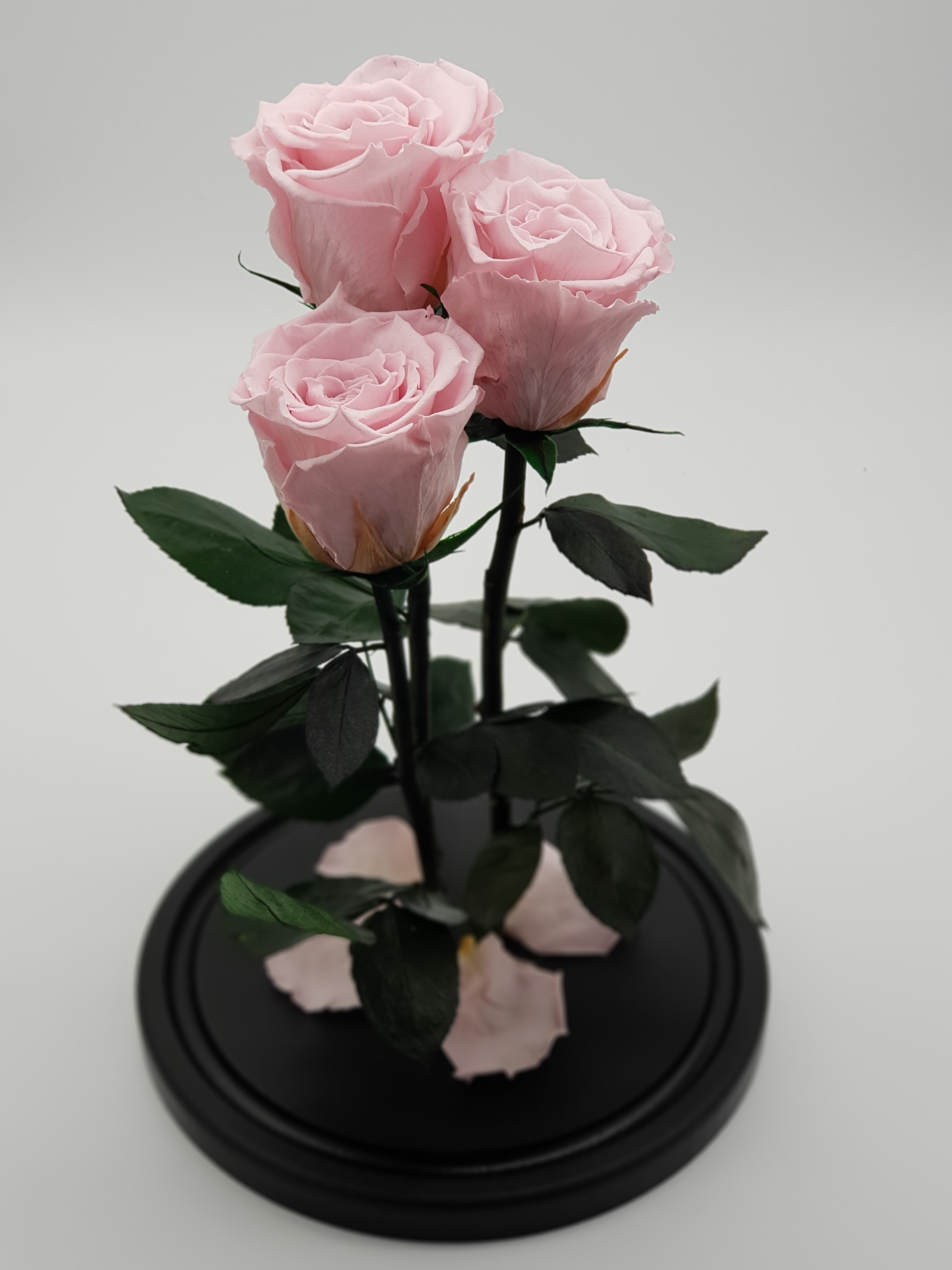 Роза в колбе Трио Премиум нежно Розовая 32*22*7см - фото
