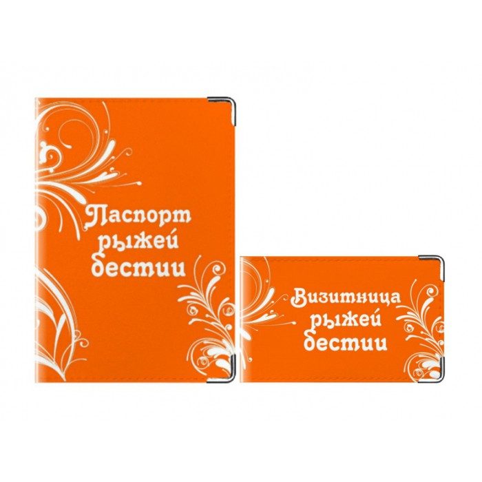 Комплект Рыжая бестия: обложка на паспорт и визитница - фото