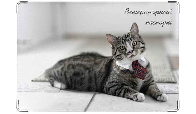 Обложка на ветеринарный паспорт Пижон - фото