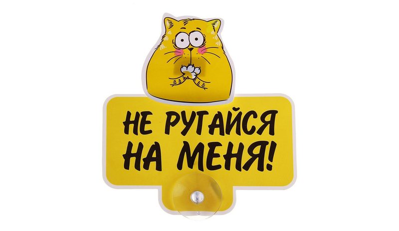 Табличка Не ругайся на меня - фото