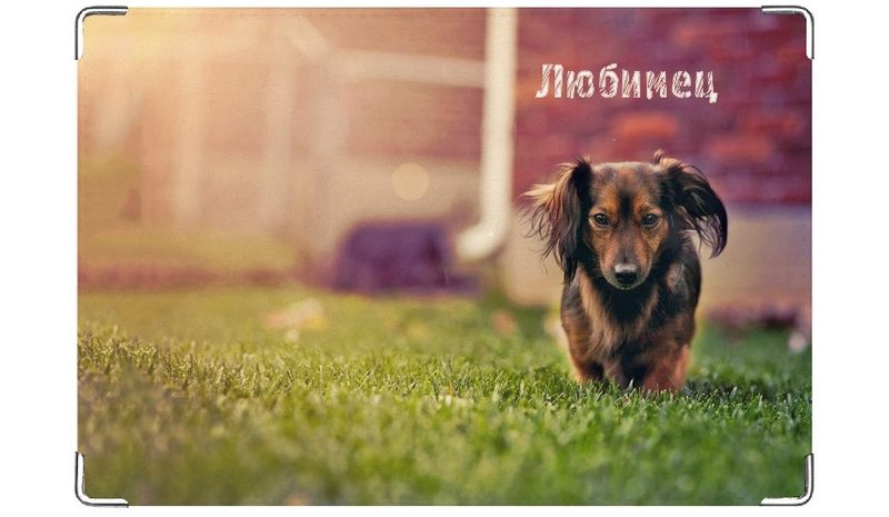 Обложка на ветеринарный паспорт Любимец - фото