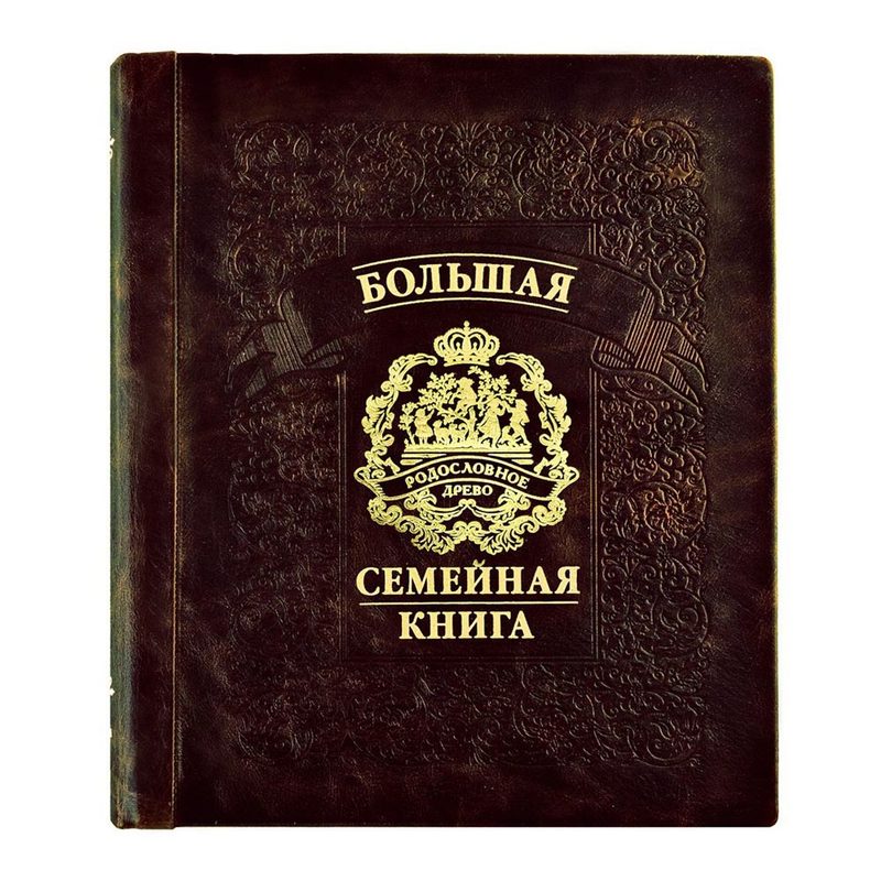 Большая семейная книга Семейное древо - фото