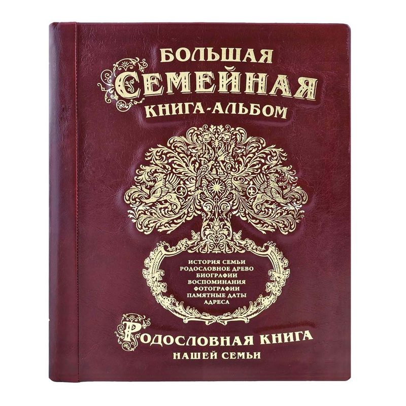 Большая книга Семейная родословная - фото