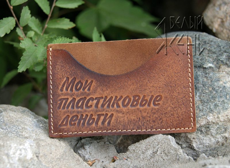 Футляр для пластиковых карт Мои пластиковые деньги 07 04 01 - фото