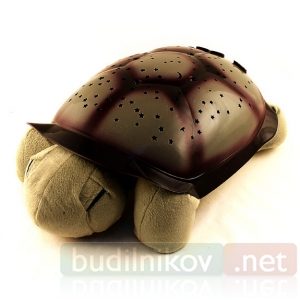Проектор-светильник Мягкая черепашка зеленая - фото