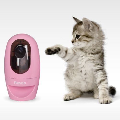 Интерактивная игрушка - видеоняня для животных Pawbo - фото