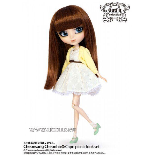 Набор одежды для пикника для кукол Pullip (Пуллип) 31 см, Groove inc - фото