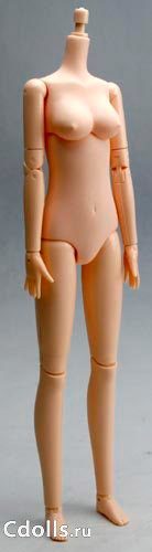 Obitsu Body Female - Bust Size M no Magnet Natural (Обитсу женское тело куклы 25 см без магнитов натуральный цвет грудь M) - фото