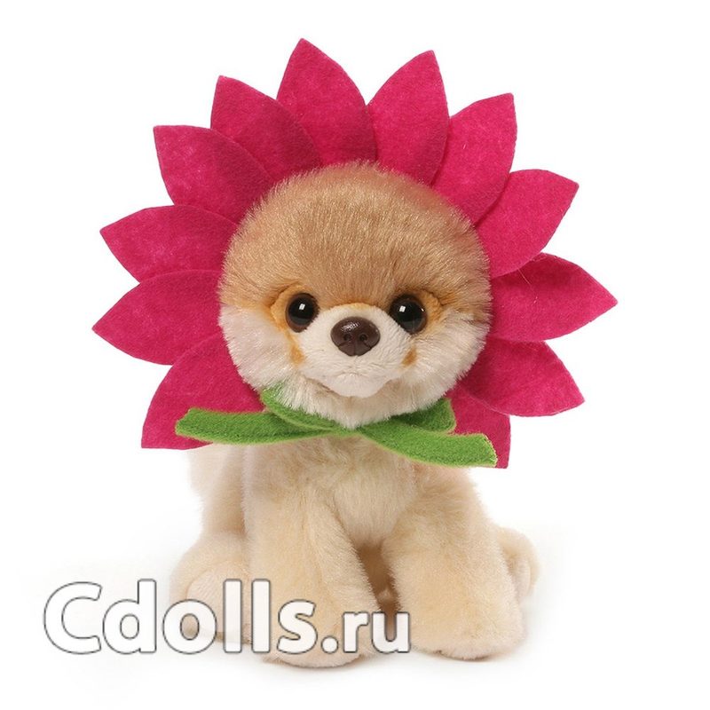 Мягкая игрушка Maru and Friends Boo Daisy (Мару энд Френдз Собачка Бу Маргаритка) - фото