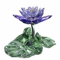 Кувшинка, Blue Violet - фото