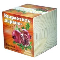 Набор для выращивания Гранат карликовый - фото