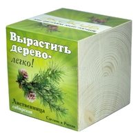Набор для выращивания Лиственница сибирская - фото