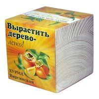 Набор для выращивания Хурма Виргинская - фото