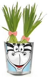 Happy Plant Сафари(Зебра) - фото