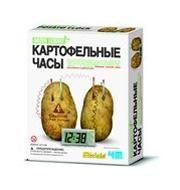 Развивающие конструкторы Green Science(Картофельные часы) - фото