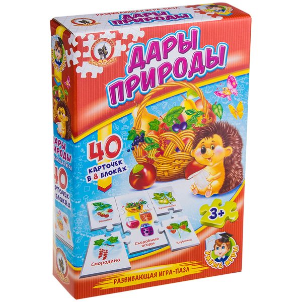 Игра настольная Русский стиль Умные игры. Дары природы, картонная коробка - фото