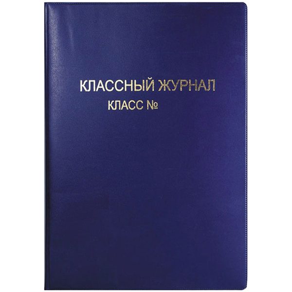 Обложка для классного журнала, ArtSpace, ПВХ цветная, тиснение золото - фото