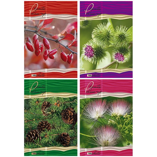 Тетрадь 160л., А5, клетка на гребне BG Nature Macro, глянцевая ламинация, твердая обложка - фото