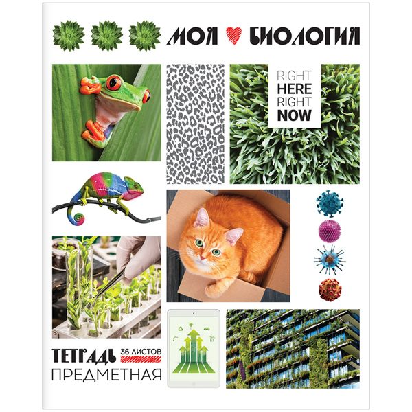 Тетрадь предметная 36л. ArtSpace Копилка знаний - Биология, ВД-лак - фото