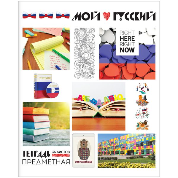 Тетрадь предметная 36л. ArtSpace Копилка знаний - Русский язык, ВД-лак - фото