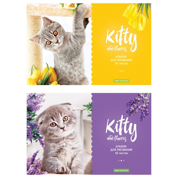 Альбом для рисования 40л., А4, на скрепке ArtSpace Kitty & Flower - фото