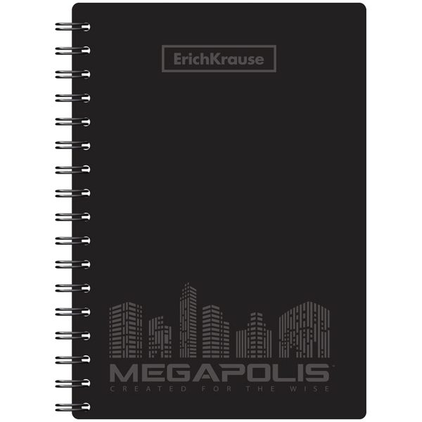 Записная книжка А6 80л. на гребне Erich Krause Megapolis, пластиковая обложка - фото