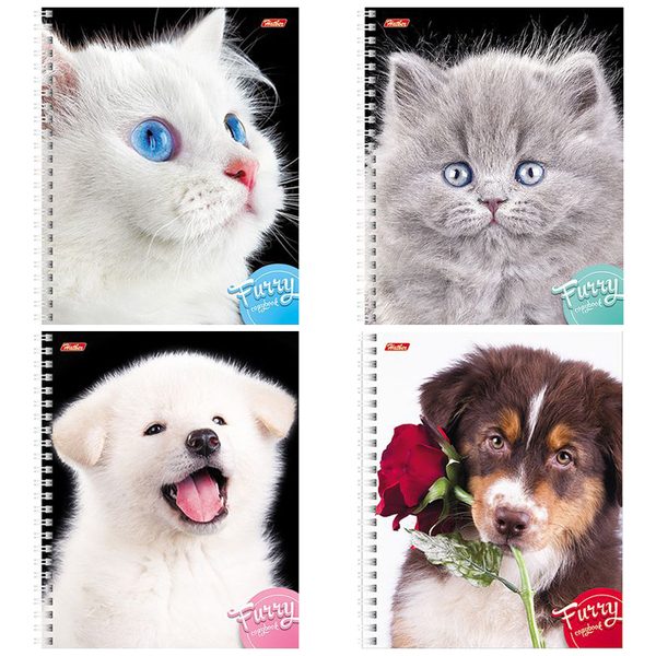 Тетрадь 80л., А5, клетка на гребне Hatber Four Colour - фото