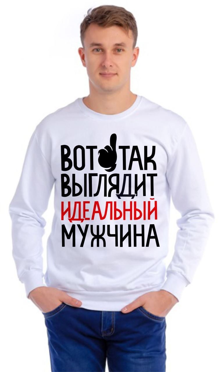 Толстовка (свитшот) мужская Вот так выглядит идеальный мужчина - фото