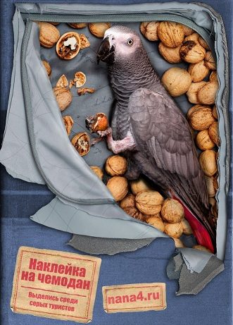 Наклейка на чемодан Попугай Гера - фото