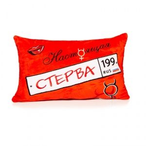 Подушка Стерва - фото