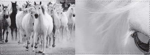 Обложка для студенческого билета Horse - фото