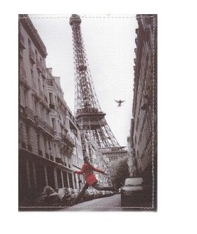 Обложка на паспорт IN Paris - фото