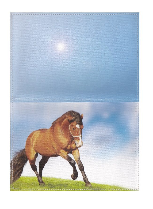 Обложка на паспорт Horse - фото