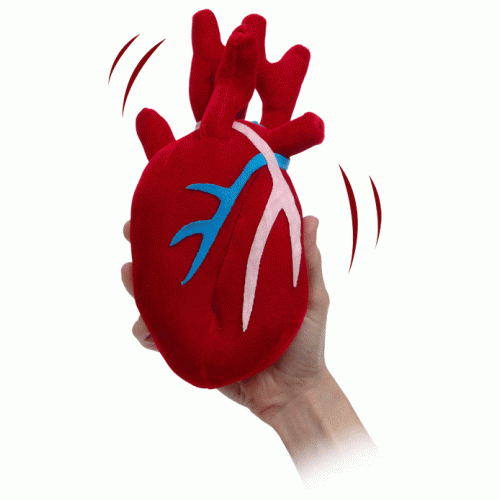 Toy beatind heart - фото