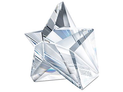Падающая звезда. Swarovski - фото