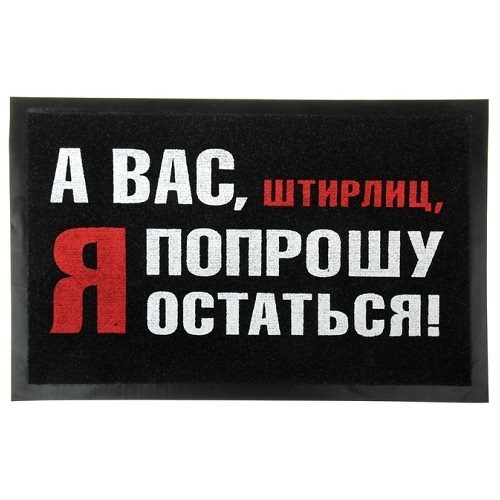Придверный коврик ШТИРЛИЦУ ОСТАТЬСЯ - фото