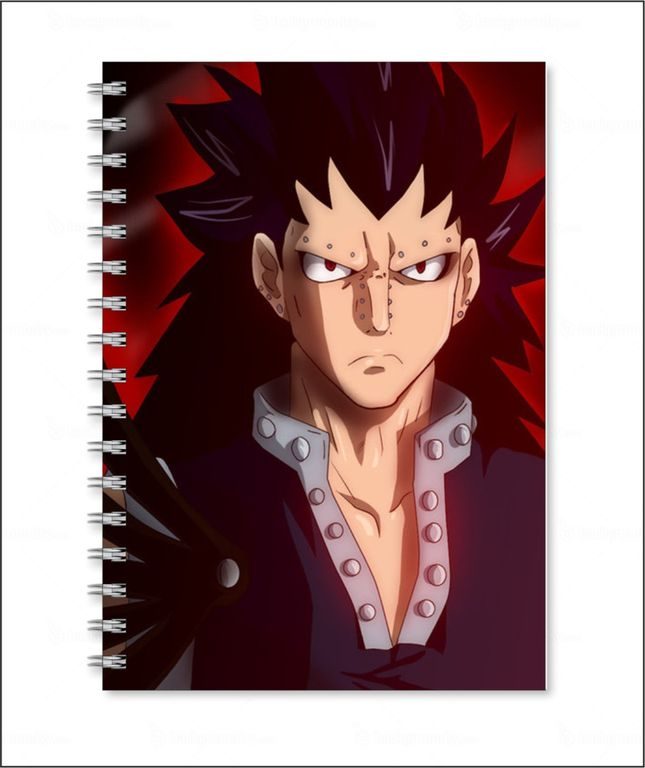 Тетрадь Хвост Феи, Fairy Tail №1 - фото