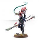 Dark Eldar Succubus - фото