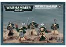 Dark Angels Veteran Space Marines - фото