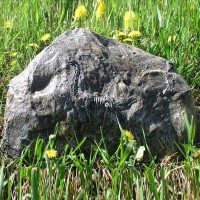 Камень для сада декоративный с динозавром,  h=46 см - фото