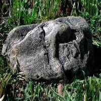 Камень для сада малый с пауком и бабочкой, d=36см - фото