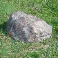 Камень для сада декоративный с пауком и бабочкой l=36 см h=15 см - фото
