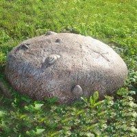 Камень с ракушками садовый (крышка на люк),  80x25 см - фото
