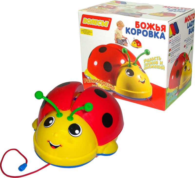 Божья коровка (в коробке) - фото