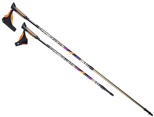 Палки для скандинавской ходьбы US MEDICA Carbon GTS - фото