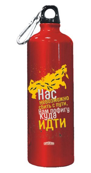 Фляга питьевая дорожная «Нас невозможно сбить с пути, нам пофигу куда идти» - фото