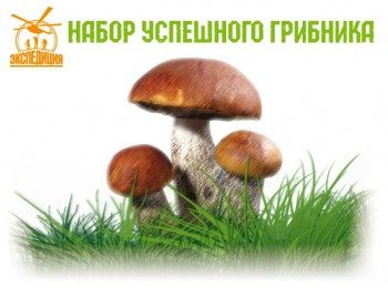 Набор успешного грибника - фото