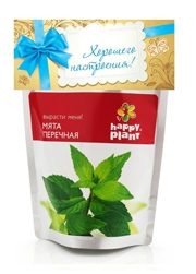 Набор для выращивания Мята - фото